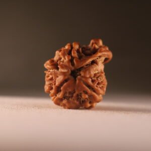 6 Mukhi Nepali Ganesh Rudraksha