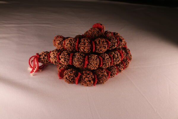 6 Mukhi Kanthi Nepali Rudraksha Necklace - Image 3
